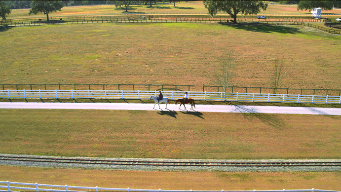 OCALA RANCH